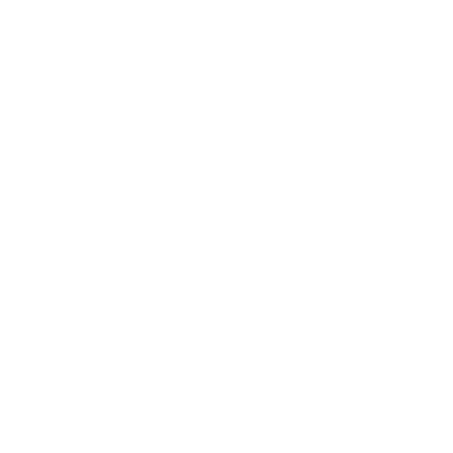 DIRFloortime logo and tagline